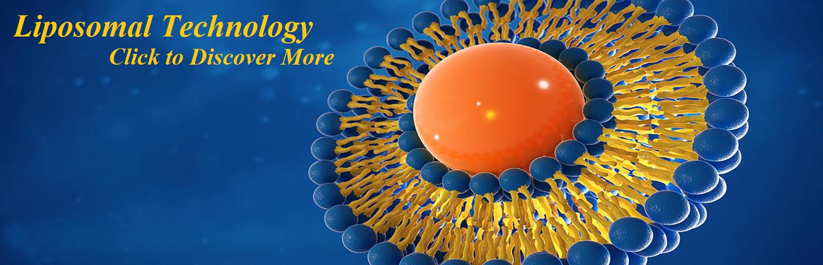 LIPOSOMAL TECHNOLOGY